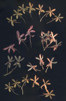 �~�j�J�g���A