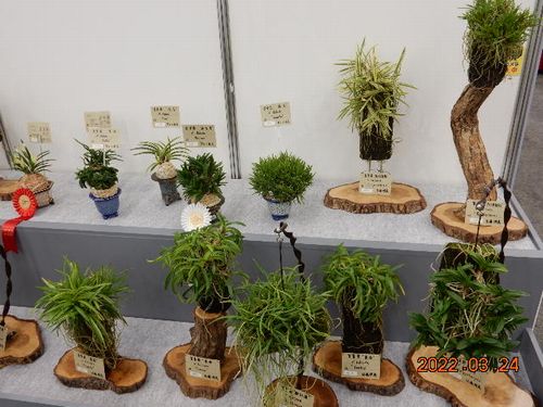 ���E���W