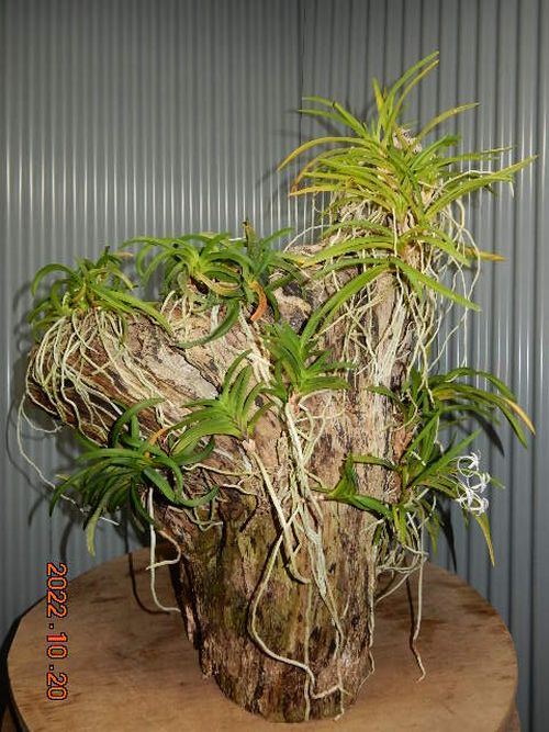 �������؁E�w�S