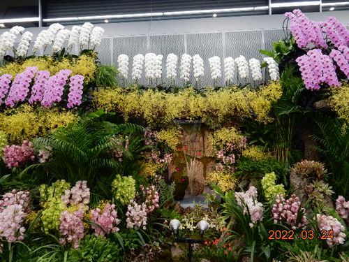 ���E���W