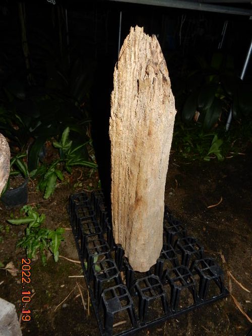 �������؁E�w�S