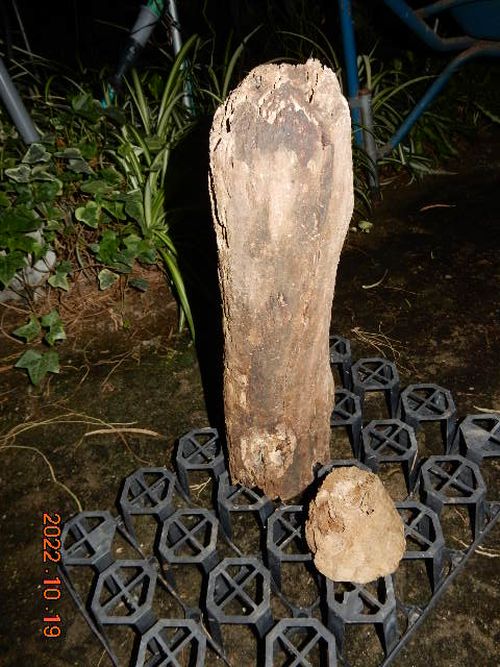 �������؁E�w�S