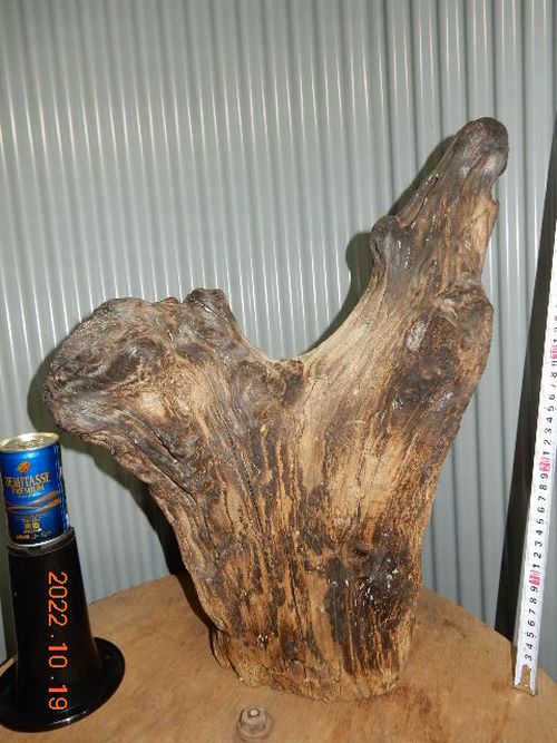 �������؁E�w�S