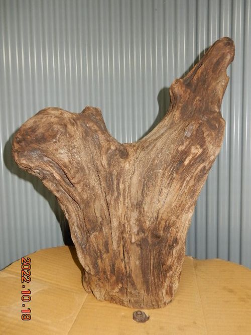 �������؁E�w�S