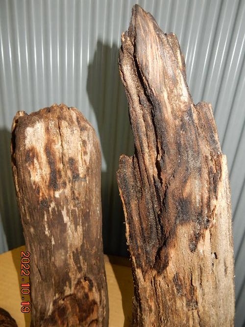 �������؁E�w�S