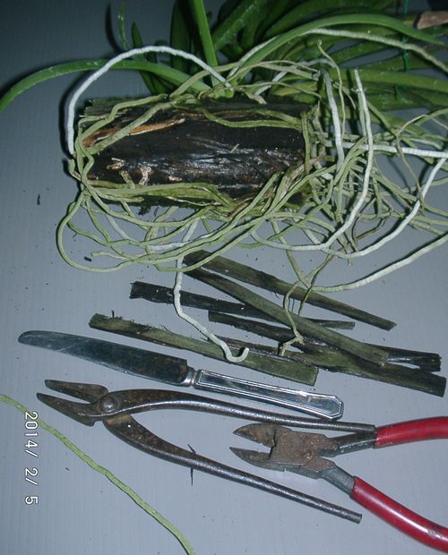 �w�S��������