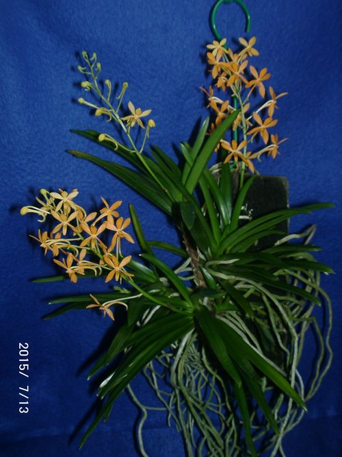 �w�S��������