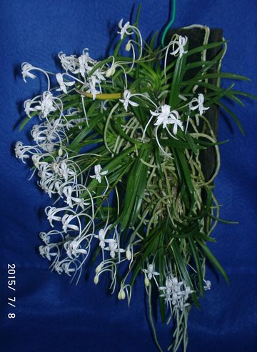 �w�S��������