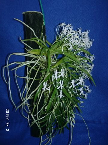 �w�S��������