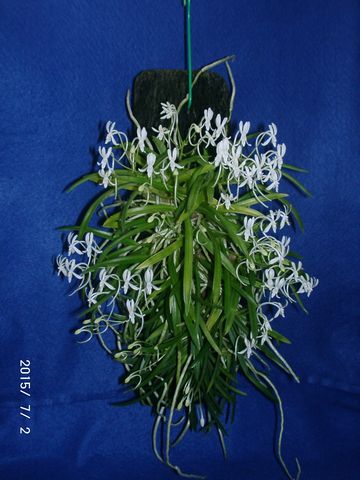 �w�S��������