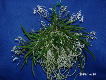 �w�S��������