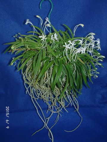 �w�S��������