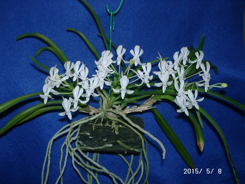 �w�S��������