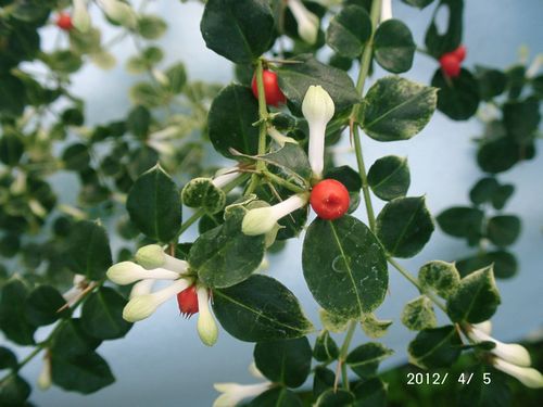 ������A���h�I�V