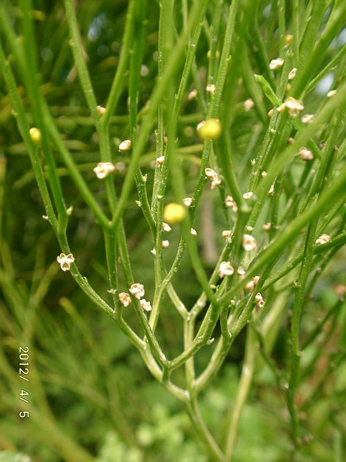 �}�c�o����