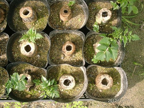 �c��_���A