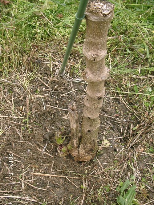 �c��_���A