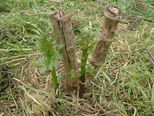 �c��_���A