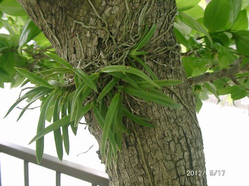 �t�E����