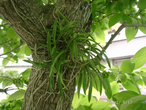 �t�E����