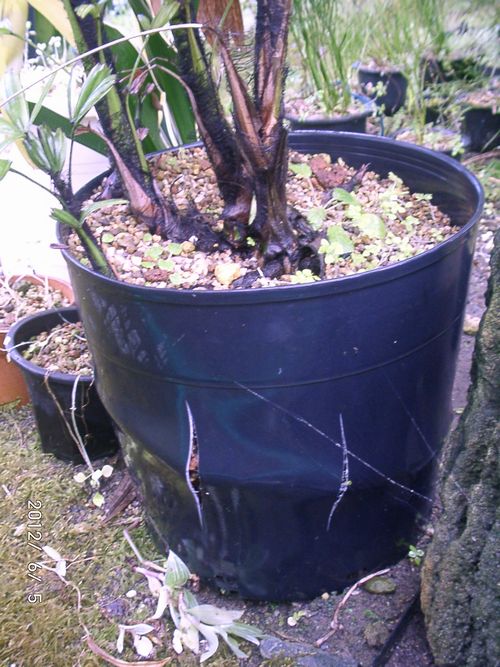 �J���m���`�N