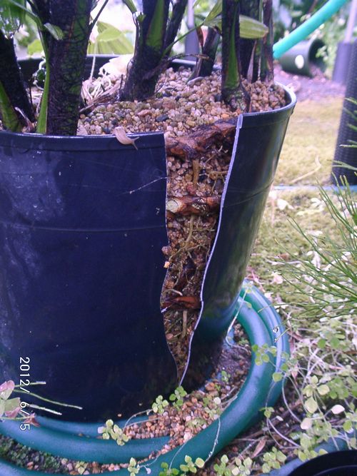 �J���m���`�N