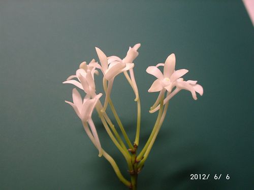 �t�E�������m�C