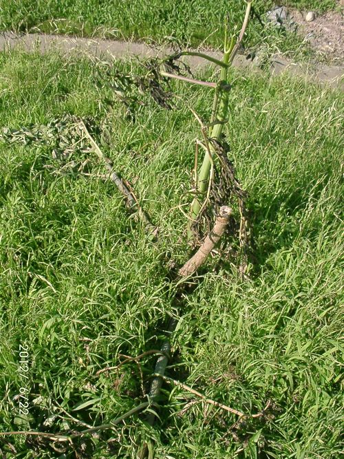 �c��_���A