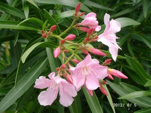 �L���E�`�N�g�E