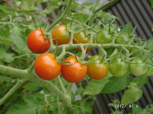 �~�j�g�}�g