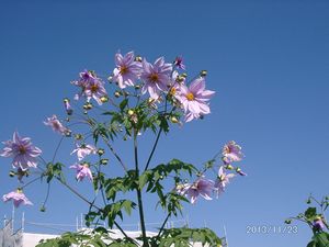 �c��_���A