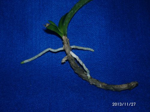 �݂̒�����