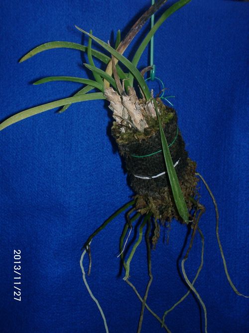 �݂̒�����