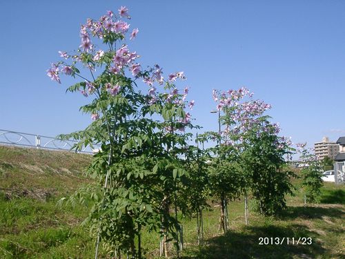 �c��_���A