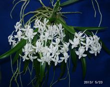 �w�S����������z��