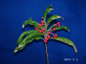 �J���^�`�o�i