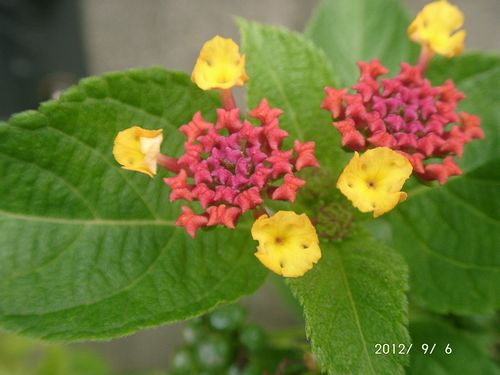 �����^�i