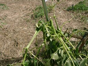 �c��_���A