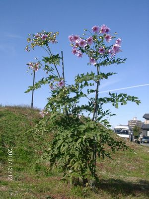 �c��_���A