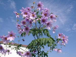 �c��_���A