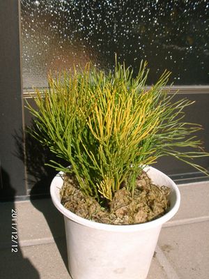 �}�c�o����