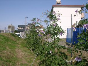 �c��_���A