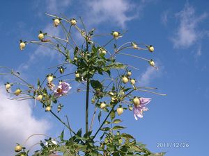 �c��_���A