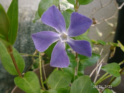 �c���j�`�j�`�\�E