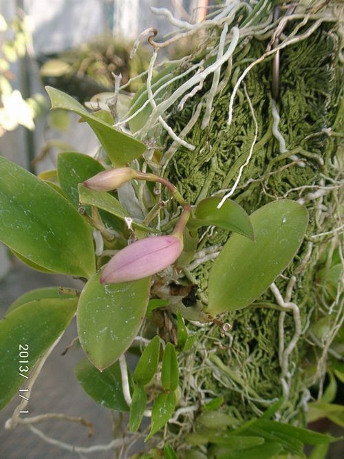 �~�j�J�g���A