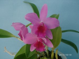 �~�j�J�g���A