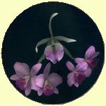 �~�j�J�g���A