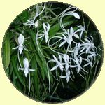 �w�S��������