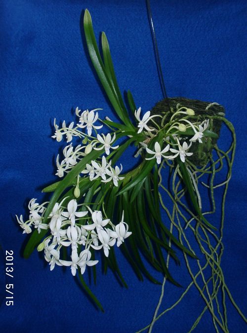 �w�S��������