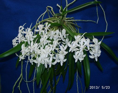 �w�S��������